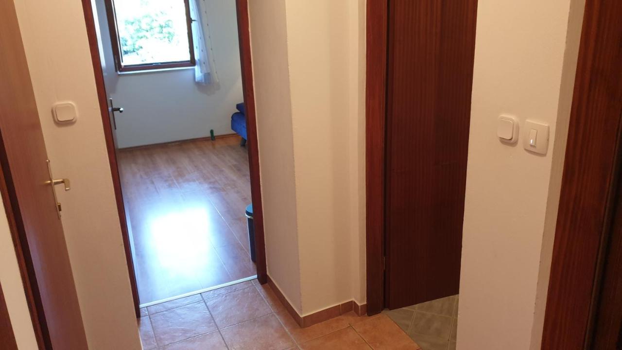 מאלי לוסיניי Apartments Rosa מראה חיצוני תמונה